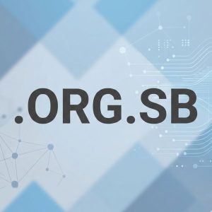 Eligibility Criteria for Registering a .ORG.SB Domain