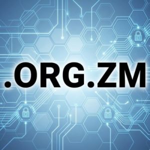 Eligibility Criteria for Registering a .ORG.ZM Domain