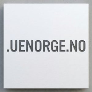 Eligibility Criteria for Registering a .UENORGE.NO Domain