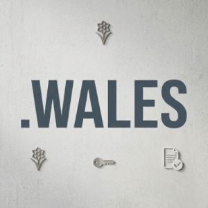 Eligibility Criteria for Registering a .WALES Domain