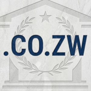 Global Recognition, Trust, and Credibility of .CO.ZW Domains
