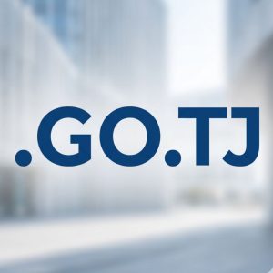 Global Recognition, Trust, and Credibility of .GO.TJ Domains