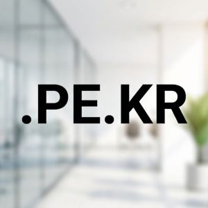 Global Recognition, Trust, and Credibility of .PE.KR Domains