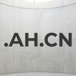 History, Credibility, and Global Popularity of .AH.CN Domains