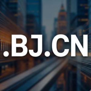 History, Credibility, and Global Popularity of .BJ.CN Domains
