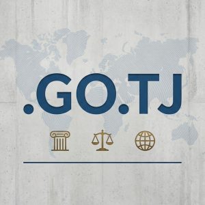 History, Credibility, and Global Popularity of .GO.TJ Domains