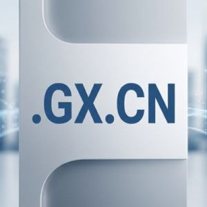 History, Credibility, and Global Popularity of .GX.CN Domains