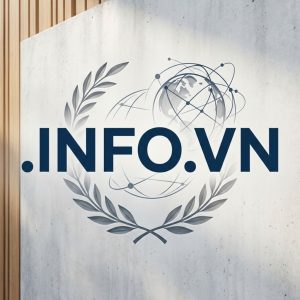 History, Credibility, and Global Popularity of .INFO.VN Domains