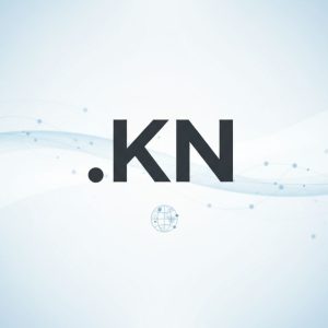 History, Credibility, and Global Popularity of .KN Domains
