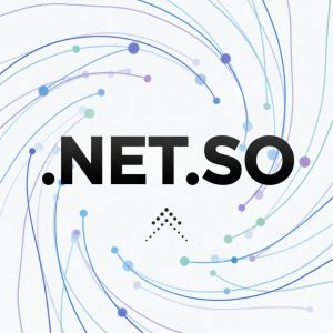 History, Credibility, and Global Popularity of .NET.SO Domains