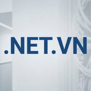 History, Credibility, and Global Popularity of .NET.VN Domains