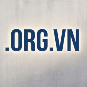 History, Credibility, and Global Popularity of .ORG.VN Domains 