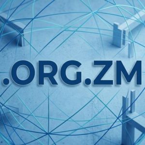 History, Credibility, and Global Popularity of .ORG.ZM Domains