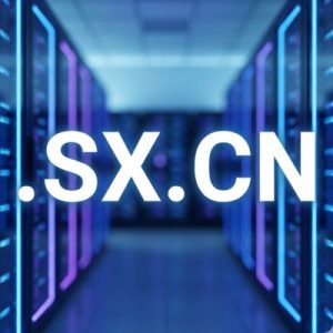 History, Credibility, and Global Popularity of .SX.CN Domains