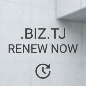 How to Renew a .BIZ.TJ Domain with Zero Downtime