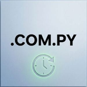 How to Renew a .COM.PY Domain with Zero Downtime
