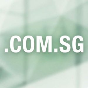 How to Renew a .COM.SG Domain with Zero Downtime