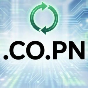 How to Renew a .CO.PN Domain with Zero Downtime