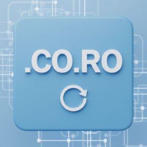 How to Renew a .CO.RO Domain with Zero Downtime