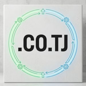 How to Renew a .CO.TJ Domain with Zero Downtime
