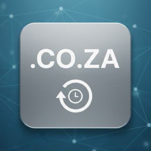 How to Renew a .CO.ZA Domain with Zero Downtime