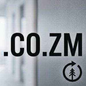 How to Renew a .CO.ZM Domain with Zero Downtime