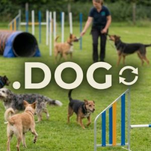 How to Renew a .DOG Domain with Zero Downtime