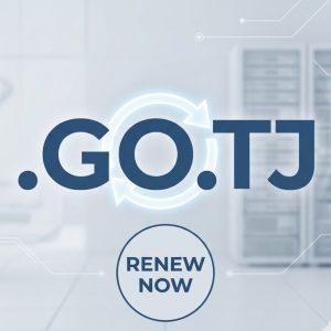 How to Renew a .GO.TJ Domain with Zero Downtime