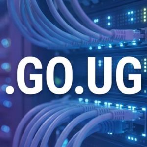How to Renew a .GO.UG Domain with Zero Downtime