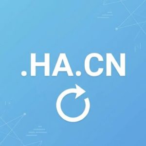 How to Renew a .HA.CN Domain with Zero Downtime