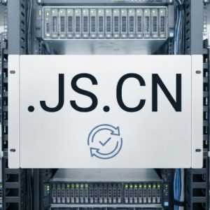 How to Renew a .JS.CN Domain with Zero Downtime