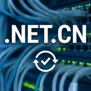 How to Renew a .NET.CN Domain with Zero Downtime
