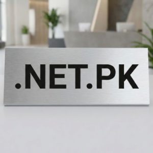 How to Renew a .NET.PK Domain with Zero Downtime