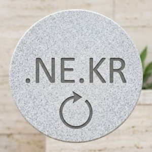 How to Renew a .NE.KR Domain with Zero Downtime