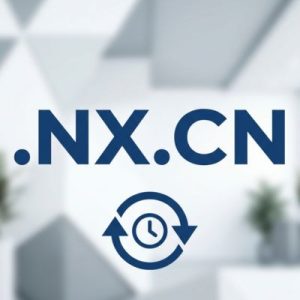 How to Renew a .NX.CN Domain with Zero Downtime
