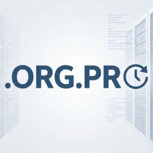 How to Renew a .ORG.PR Domain with Zero Downtime