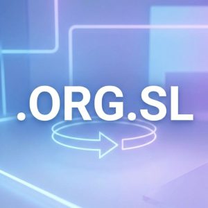 How to Renew a .ORG.SL Domain with Zero Downtime