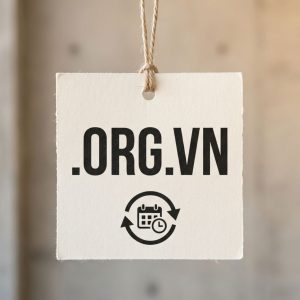 How to Renew a .ORG.VN Domain with Zero Downtime