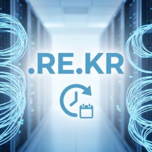 How to Renew a .RE.KR Domain with Zero Downtime