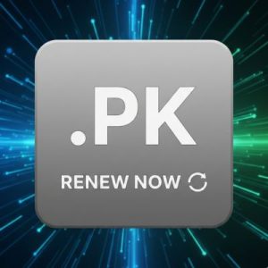 How to Renew a .PK Domain with Zero Downtime