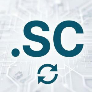 How to Renew a .SC Domain with Zero Downtime