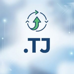 How to Renew a .TJ Domain with Zero Downtime