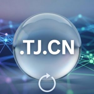 How to Renew a .TJ.CN Domain with Zero Downtime