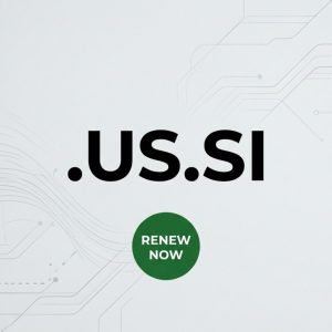 How to Renew a .US.SI Domain with Zero Downtime