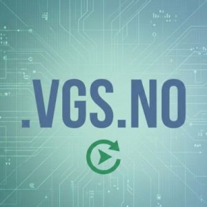 How to Renew a .VGS.NO Domain with Zero Downtime