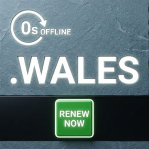 How to Renew a .WALES Domain with Zero Downtime