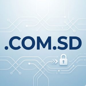 How to Transfer Your .COM.SD Domain Safely and Securely