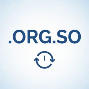How to Update WHOIS Information Correctly -.ORG.SO Domain