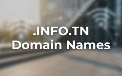 .INFO.TN Domain Names