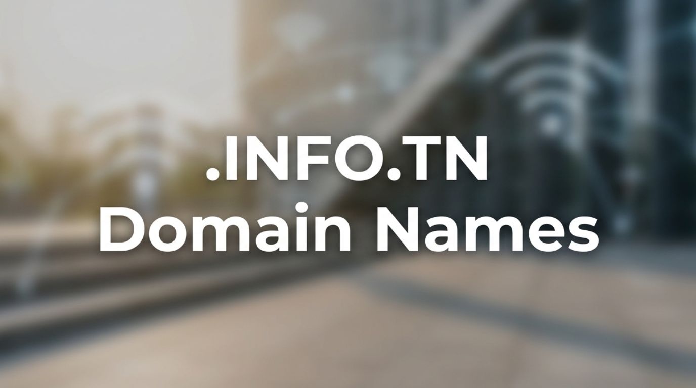 .INFO.TN Domain Names